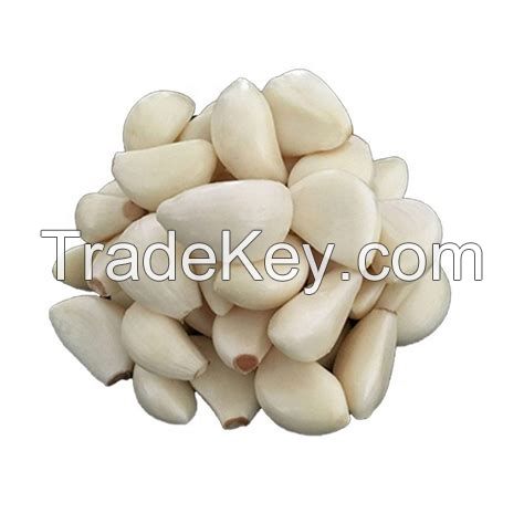 GOOD Natural fresh garlic Thailand for sale Fresh garlic