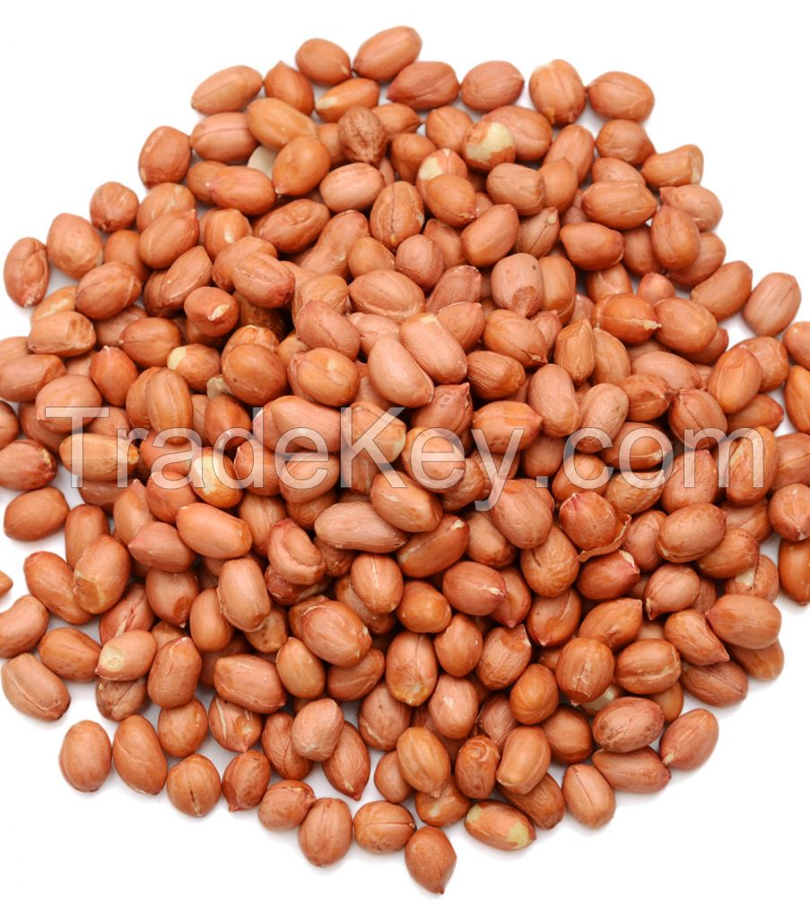Quality Raw Peanuts, pea nut, Roasted, Raw Ground nuts