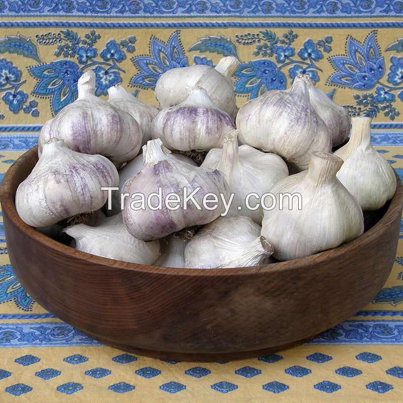 Organic Non-gmo White High Quality Fresh Garlic