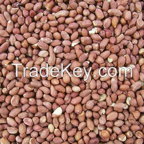 Wholesale Price Best Quality Blanched Peanuts Bulk Quantity Blanched Peanuts