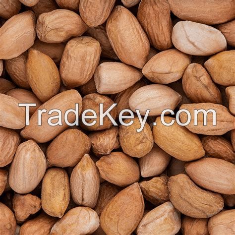 No Shell peanuts raw size raw peanuts without shell peanuts raw ground nuts