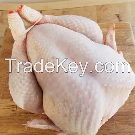 Big size Frozen Whole Halal Chicken And Chicken Parts From France