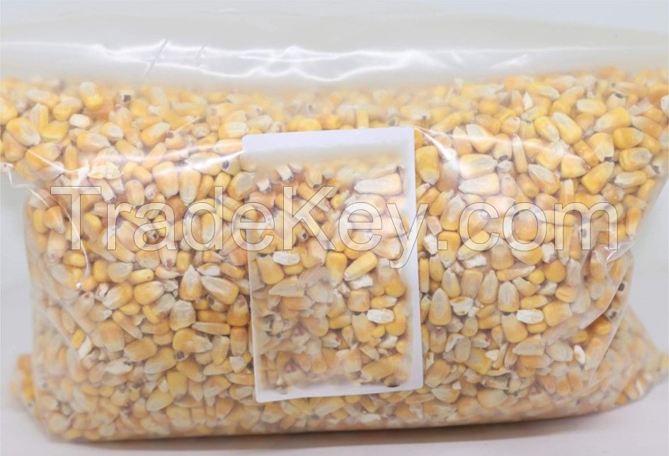 New Crop Non GMO Yellow Corn Maize for human and animal feed grade consumption Top Selling Good Quality Natural Yellow Corn