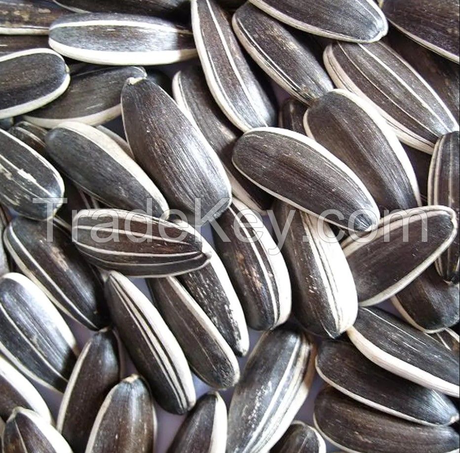Wholesale Sunflower Seeds From Chinese Inner Mongolia Sunflower Kernels