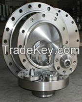 Forgings and Flanges