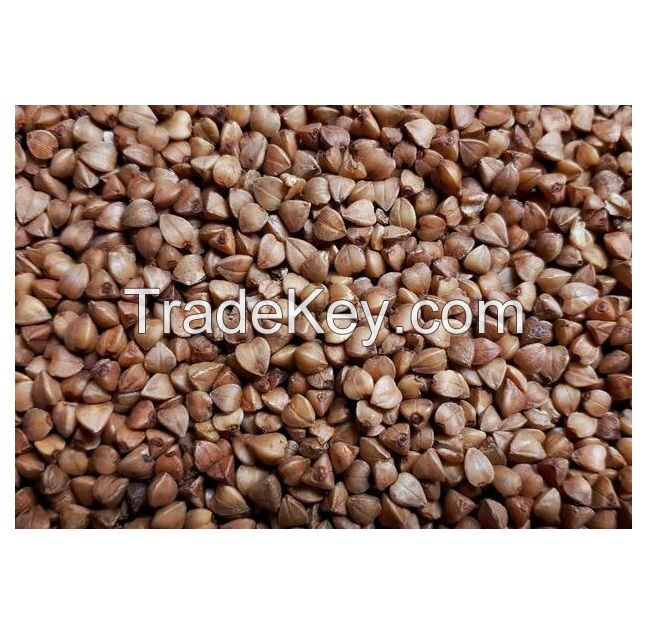 High quality grains seeds buckwheat