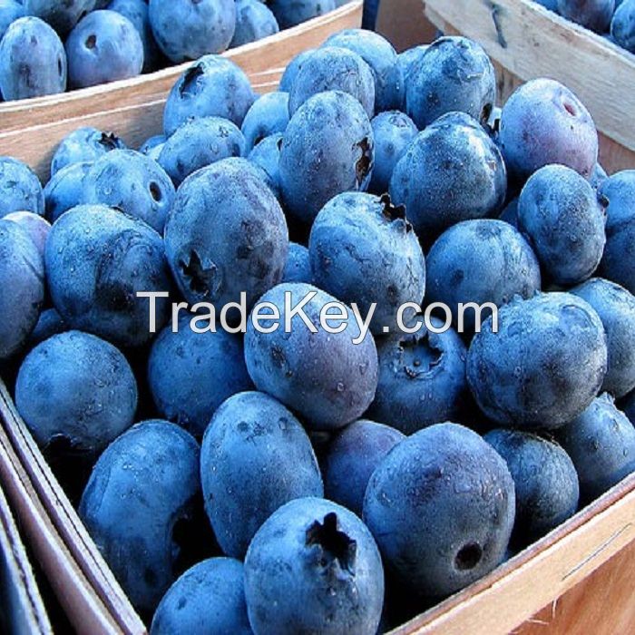 Good Quality Fresh Berries Blueberry