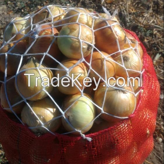 White Fresh Onion For sale