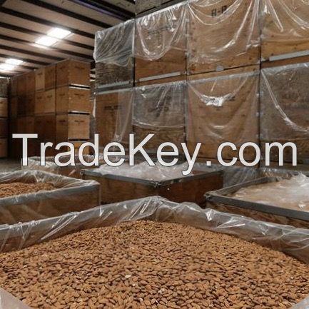 Almond Nuts, Sweet California Almonds