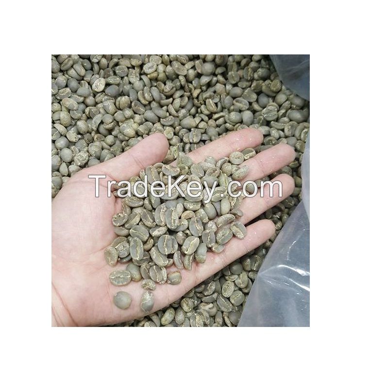 ARABICA GREEN COFFEE BEANS HIGH QUALITY