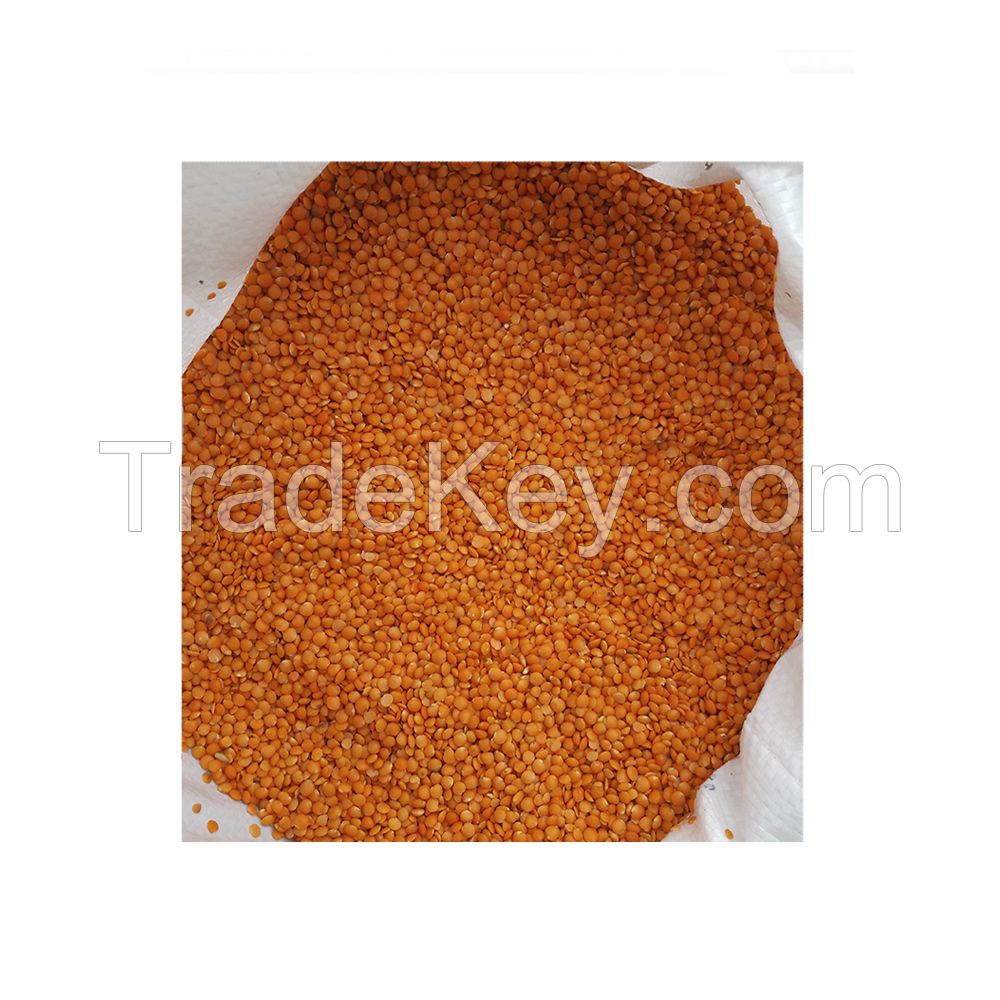 Red Lentils Whole high quality wholesale