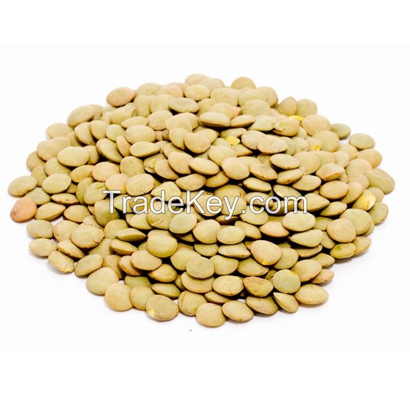 Green Lentils Beans Kazakhstan Wholesale Natural