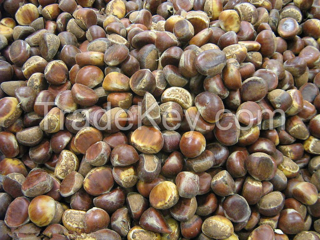 Wholesale Chestnut Raw Sweet Fresh Chestnut