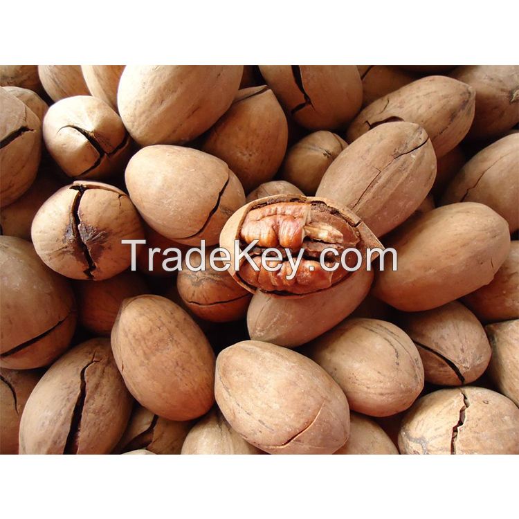 South Africa Dried Cheap Wholesale pecan halves pecan nuts on sale