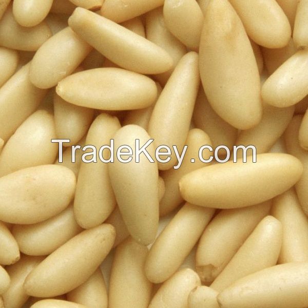 Wholesale Quality Pine Nuts