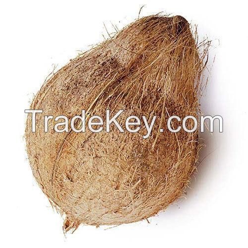 Fresh Mature Semi Husked Coconut