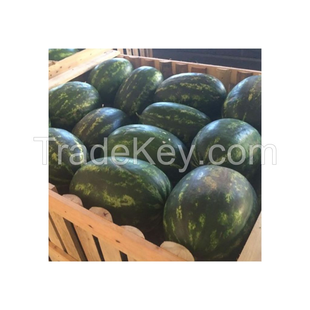 high quality affordable price fresh sweet water melon