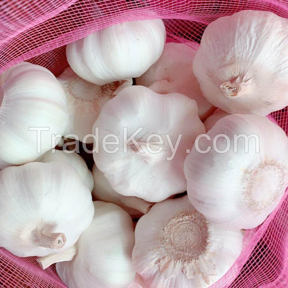 2021 New crop fresh natural normal pure white garlic
