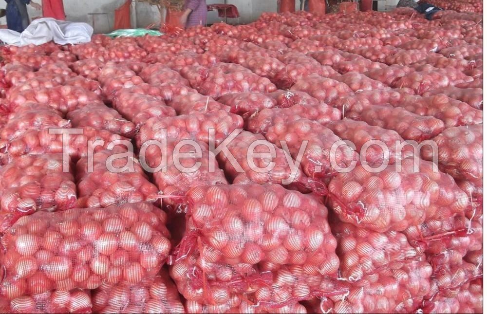 Fresh red/yellow/white/brown Onions