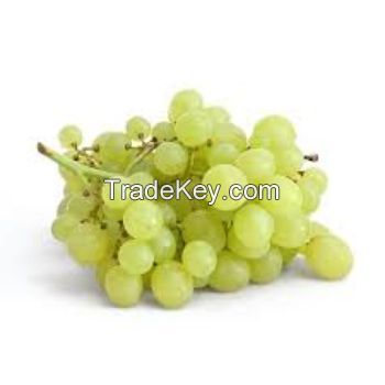 Fresh Organic Grapes For Sale