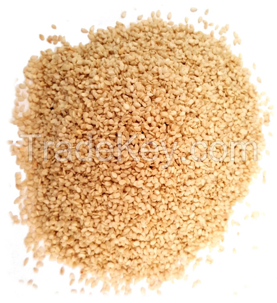 lowest factory direct price white sesame finest quality of white sesame seed for export