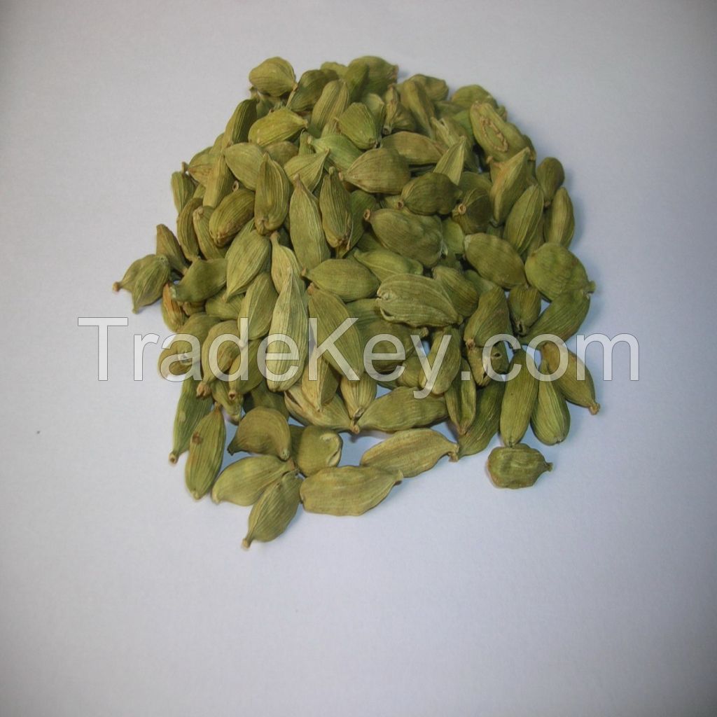 Green Cardamom Premium Whole Large Green Cardamom Quality