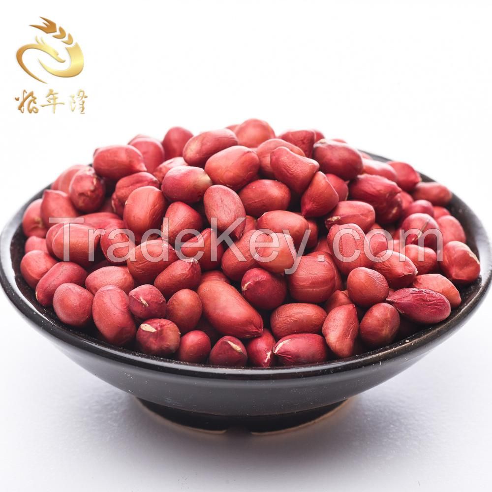 Rich in protein Rich organic protein Kernel Raw Peanuts Kernel Peanut