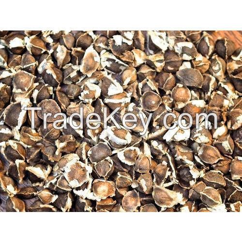 100% Organic Dried Moringa oleifera Seeds