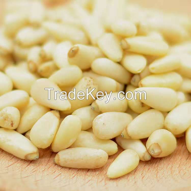 Quality Pine Nut Kernels for sale