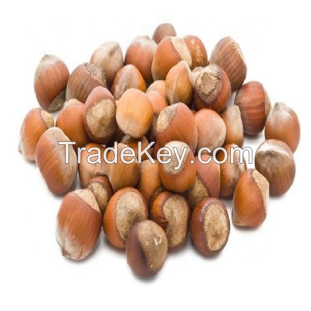 Hazelnuts suppliers Hazelnut kernels/Hazelnut in shell/ Organic hazelnut Roasted , Organi