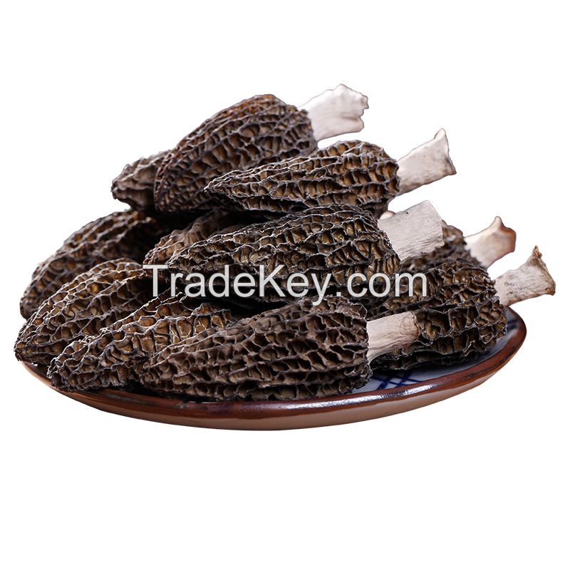 Morchella Esculenta Cultivation Dried Magic Mushrooms Morchella Mushroom