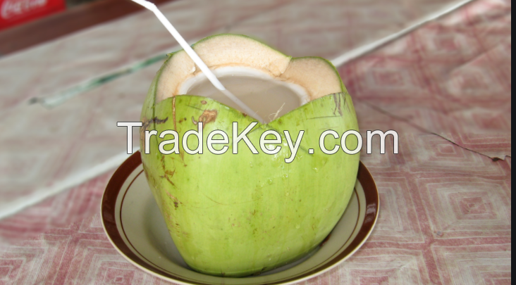 Coconut water in bulk