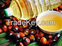 Palm Oil