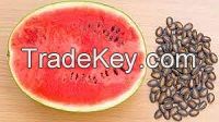 Water Melon Seeds