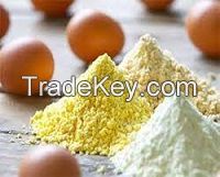 Eggs Powder