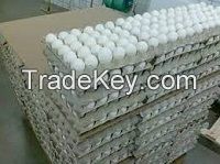 Fresh White Chicken Eggs