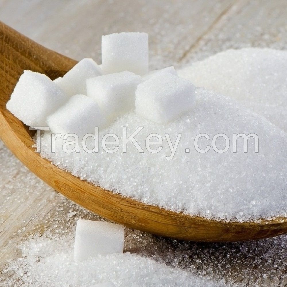 High quality white sugar