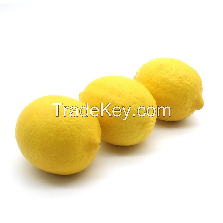 Fresh top grade lemons