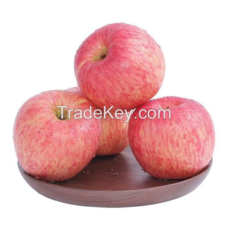 Top Quality fresh apples