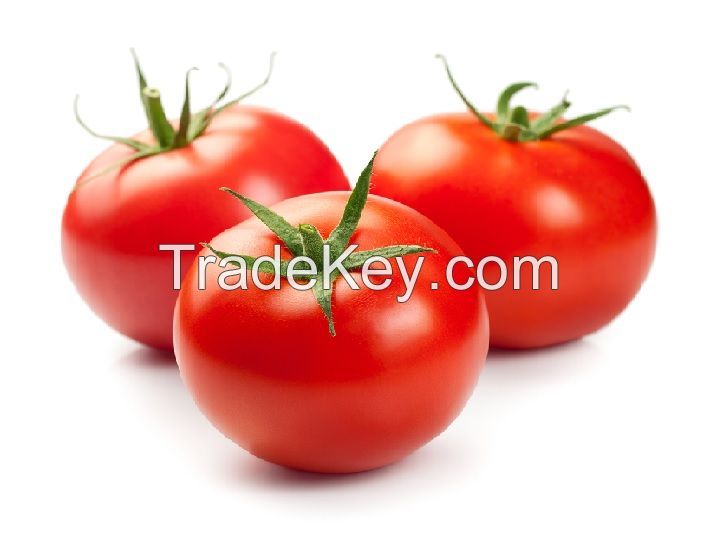 Fresh Tomatoes