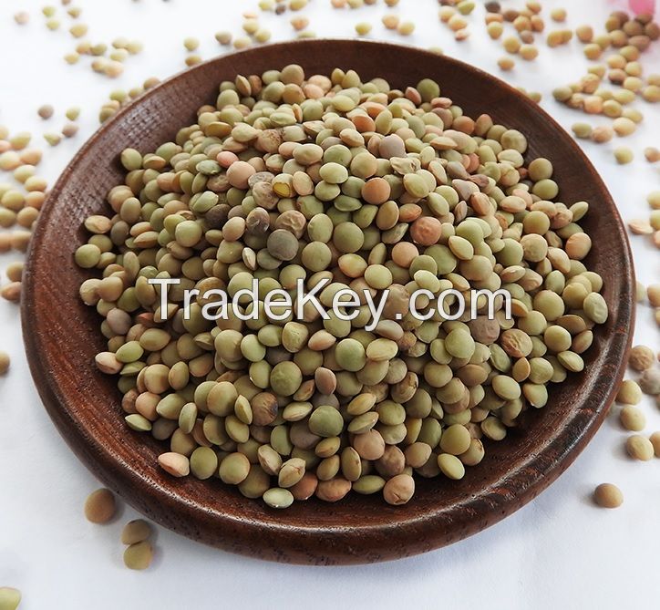 Green Lentils