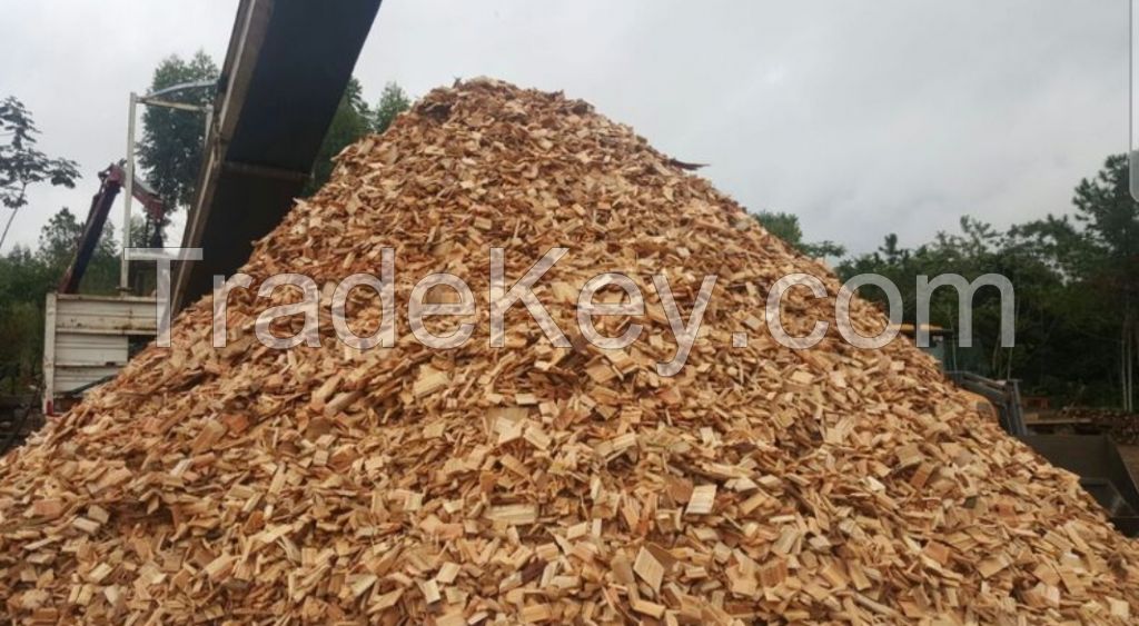 Wood Chips Good Quality