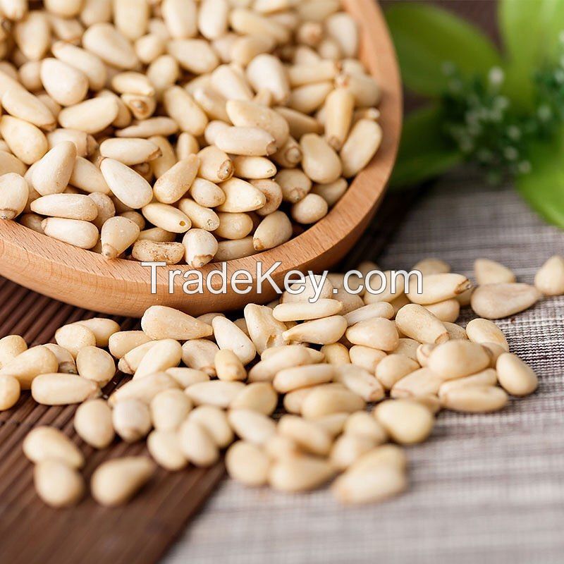 Raw Pine Nut Kernels