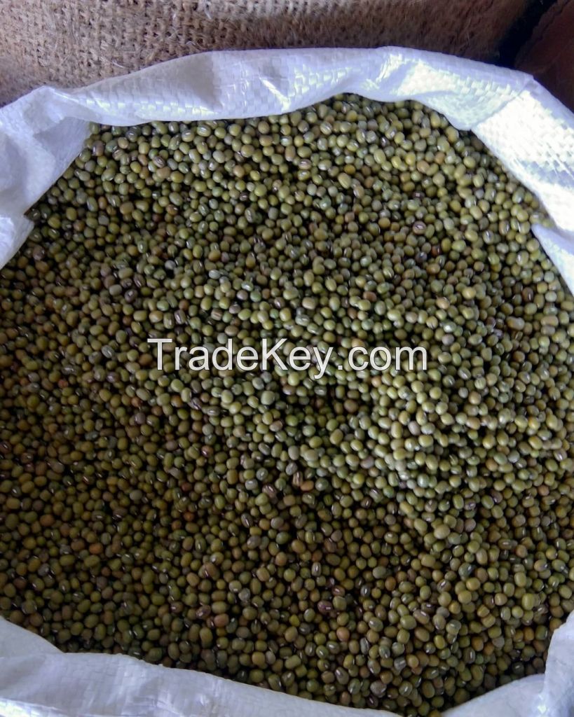 Green Mung Bean