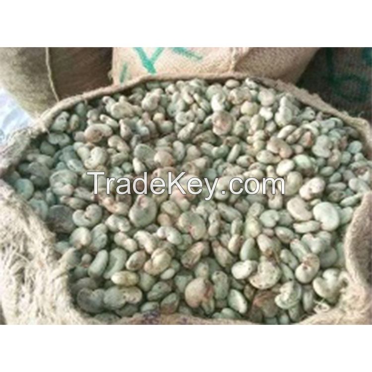 high quality raw cashew nuts Viet Nam manufacturing for W240, W320, W450