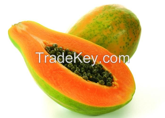 High Quality Wholesale Fresh Papaya