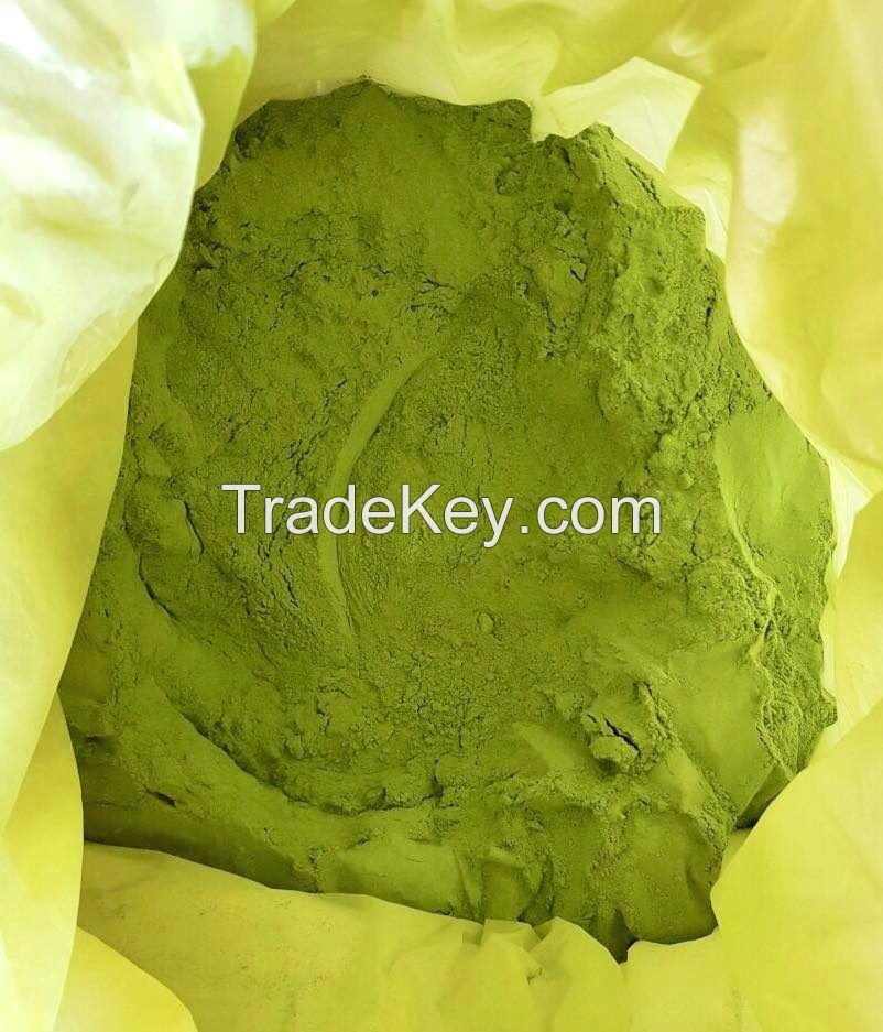 Wholesale Natural Dried Celery Juice Extrac Powder/ High Quality Celery Powder Good for Your Health Ms.Lucy +84 929 397 651