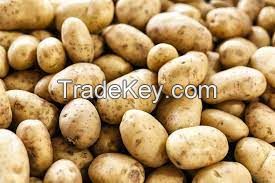 Sell fresh potato/ginger/garlic /onion /carrot