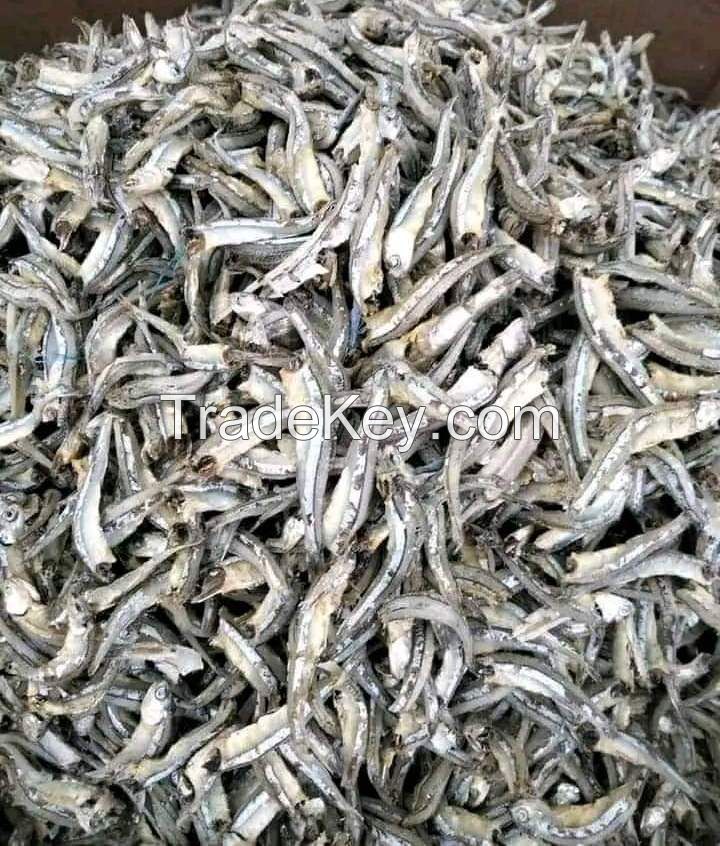 DRIED ANCHOVIES