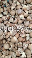 Whole Betel Nut Competitive Price